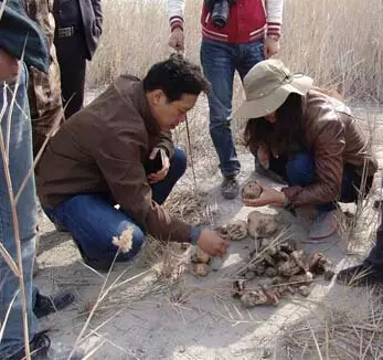 圖片關鍵詞 圖片關鍵詞