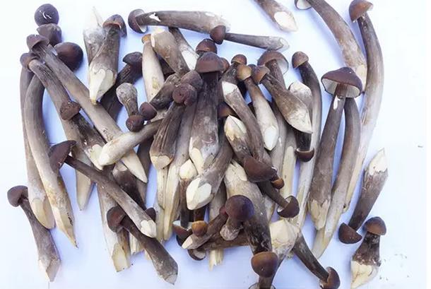 圖片關鍵詞 圖片關鍵詞