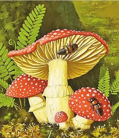 圖片關鍵詞 圖片關鍵詞