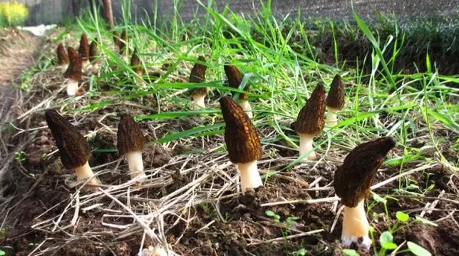 圖片關鍵詞 圖片關鍵詞