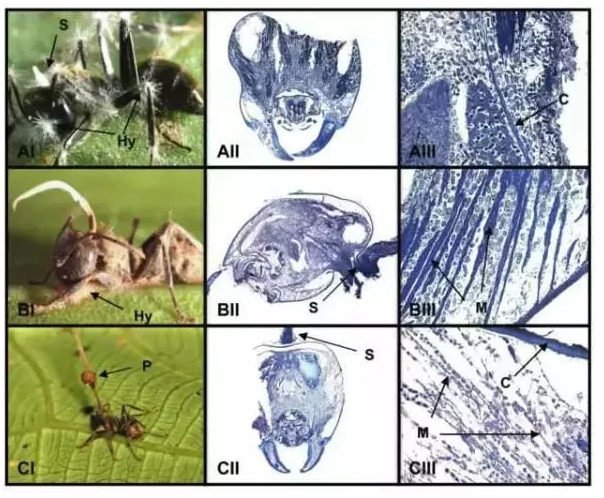 圖片關(guān)鍵詞 圖片關(guān)鍵詞