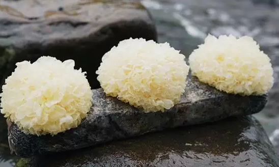 圖片關(guān)鍵詞 http://m.cdvi.com.cn/ewebeditor/uploadfile/20180328092751720001.png