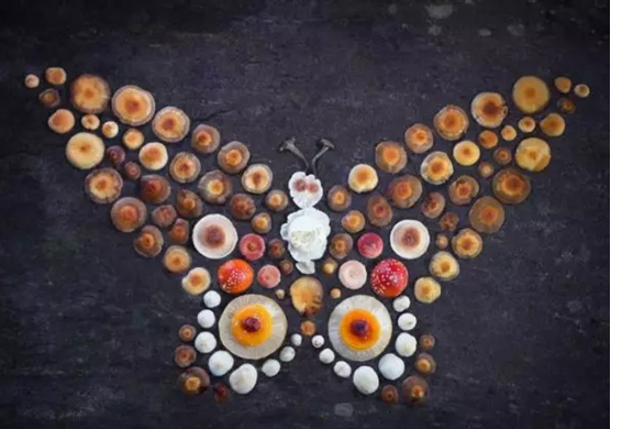 圖片關鍵詞 圖片關鍵詞