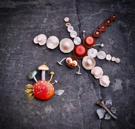 圖片關鍵詞 圖片關鍵詞