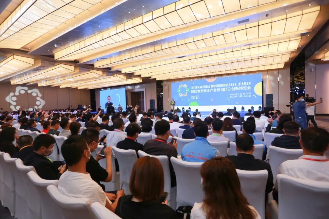 圖片關(guān)鍵詞 https://mmbiz.qpic.cn/mmbiz_jpg/x7jCkpdSQyJP3WeCwKGYonFRmAjgj770YPR3icII8u1wDmWCIA1ic5E225uBaRQAMicMFaGBcIyEW1LljpxCJW5IQ/640?wx_fmt=jpeg