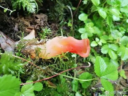 圖片關鍵詞 圖片關鍵詞