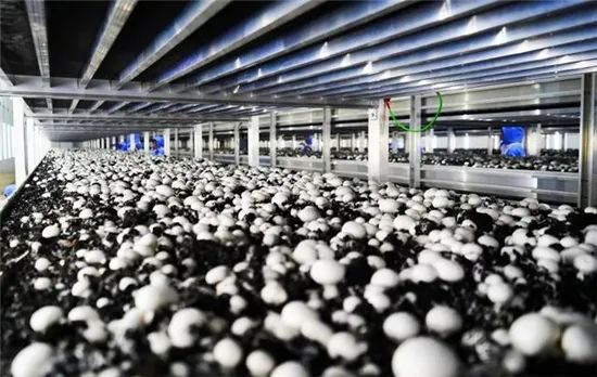 圖片關(guān)鍵詞 https://mmbiz.qpic.cn/mmbiz_jpg/OnRbAd1HL46AwkQ024uRgKwLm56pArgJHqUf6spvoDgR5YQmECBiaapG6y75iaZrnkDZzNiahVnliagRIlJzwK2Oiag/640?wx_fmt=jpeg