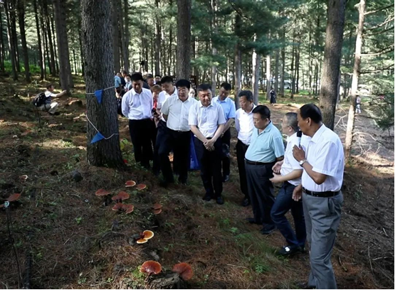 圖片關鍵詞 圖片關鍵詞