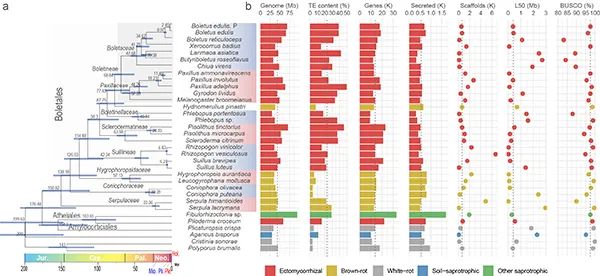 圖片關鍵詞 圖片