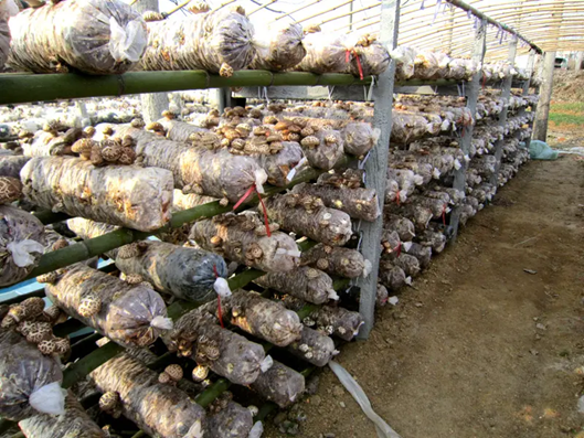 圖片關鍵詞 圖片關鍵詞