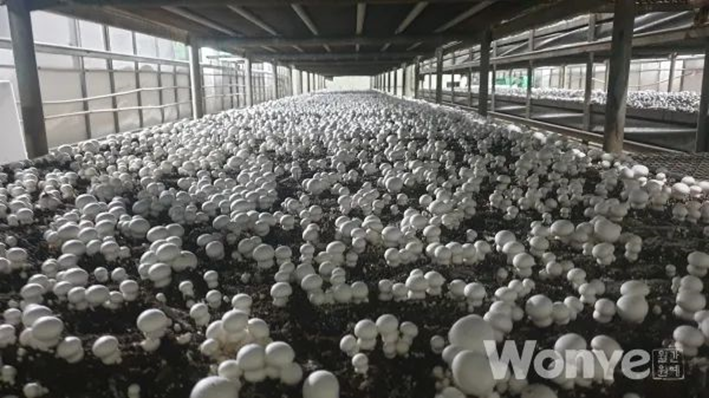 圖片關(guān)鍵詞 圖片關(guān)鍵詞