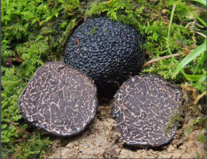 圖片關鍵詞 圖片關鍵詞