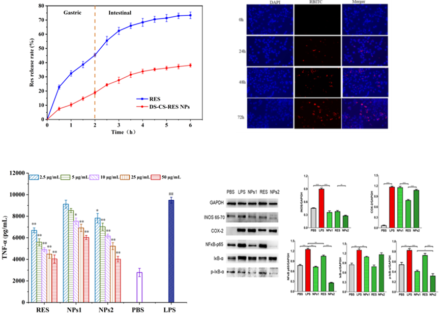 1708493896331639.png 0圖片4.png