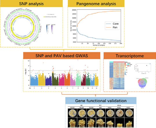 圖片關(guān)鍵詞 圖片關(guān)鍵詞