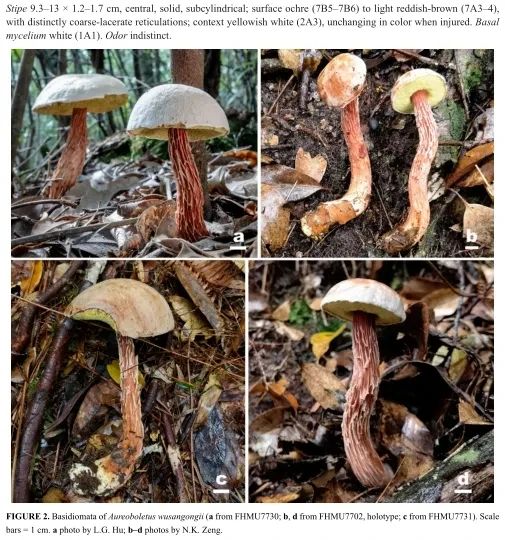 圖片關鍵詞 圖片關鍵詞