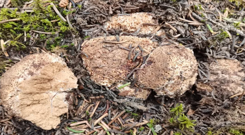 圖片關鍵詞 圖片關鍵詞