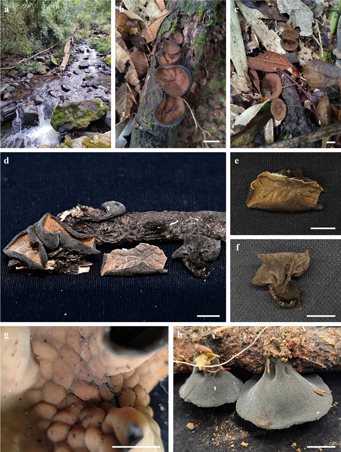 圖片關(guān)鍵詞 圖片關(guān)鍵詞