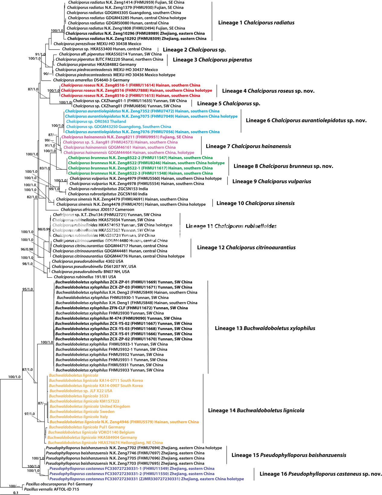 圖片關鍵詞 圖片關鍵詞