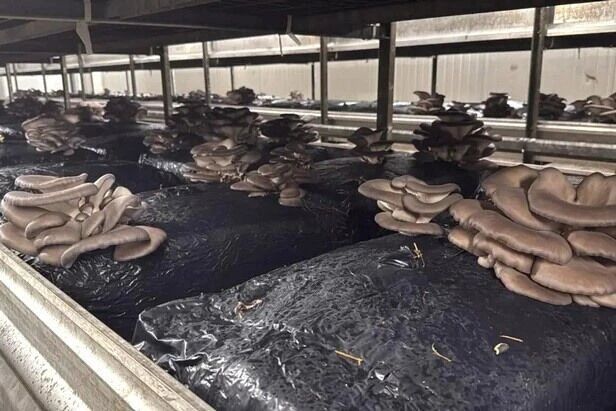 圖片關鍵詞 圖片關鍵詞