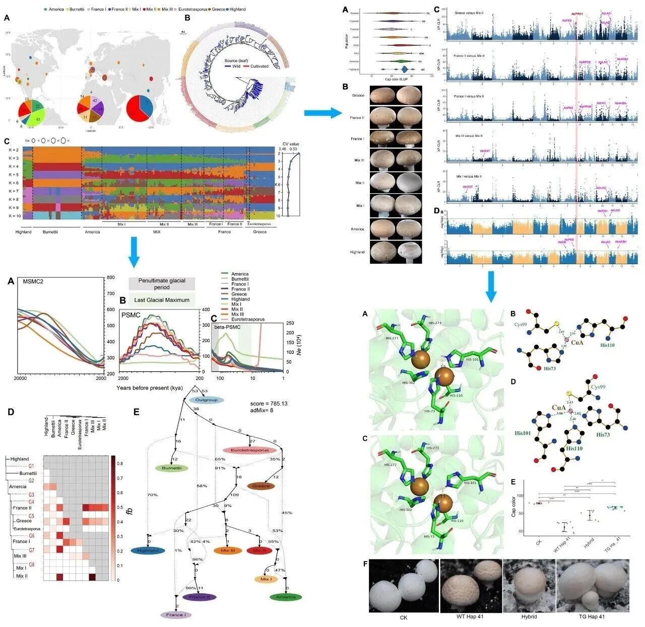 圖片關鍵詞 圖片關鍵詞