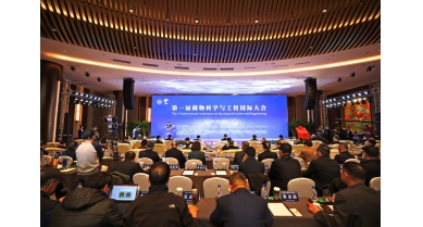 專(zhuān)題報(bào)道