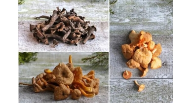 行業(yè)動態(tài)