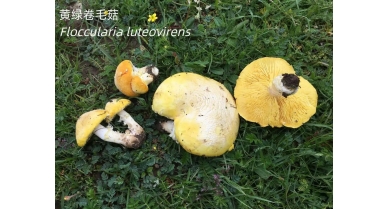 行業(yè)動態(tài)