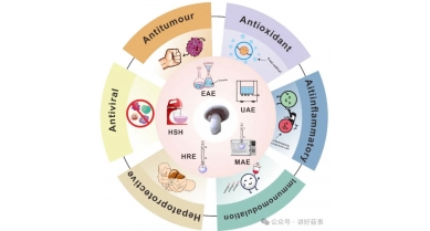 行業(yè)動(dòng)態(tài)
