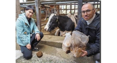 行業(yè)動態(tài)